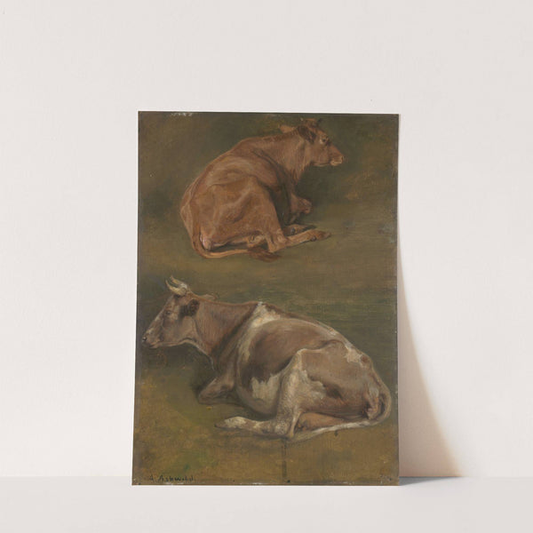 Study of Cows by Anders Askevold