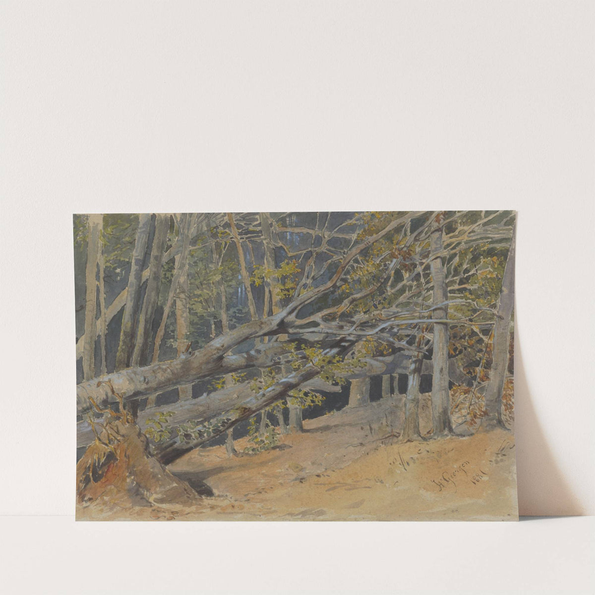 Study of Cut Down Trees by Friedrich Carl von Scheidlin