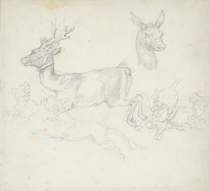 Study of Deer Chased by Dogs, Doe’s Head