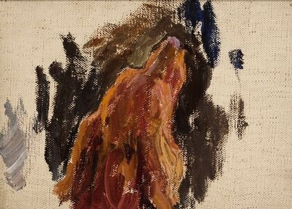 Study of dog’s head