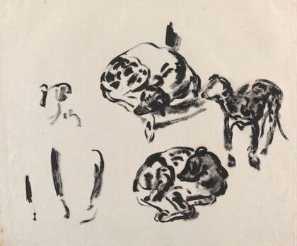Study of Dogs