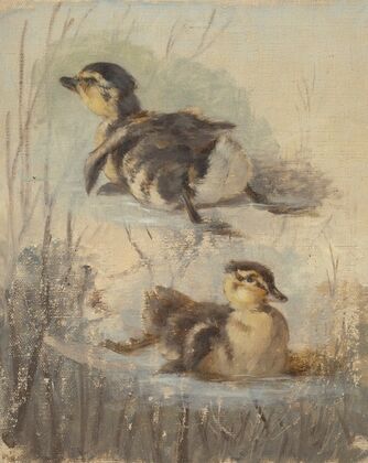 Study of Ducks on the Water II.