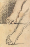 Study of Feet