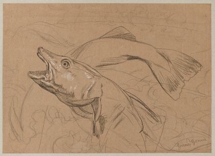 Study of Fish (1879)