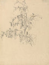 Study of Foliage