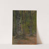 Study of Forest Interior (1890–1900) by Ladislav Mednyánszky