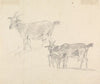 Study of Goats