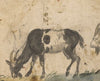Study of Goats