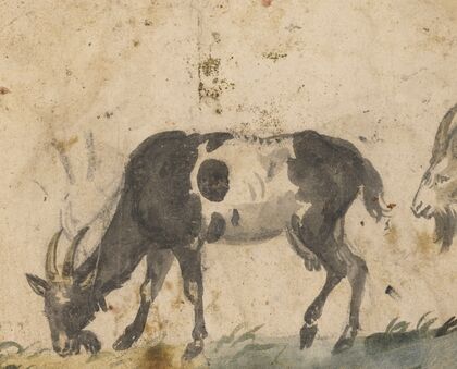 Study of Goats