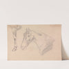 Study of head and neck of a horse by Sawrey Gilpin