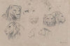 Study of heads of lions and lionesses