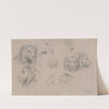 Study of heads of lions and lionesses by Rosa Bonheur