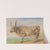 Study of Hungarian breed ox by Piotr Michałowski