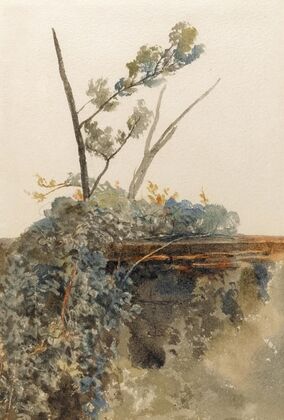 Study of ivy — size preview