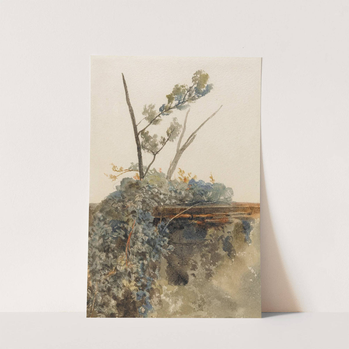 Study of ivy by Peter De Wint