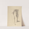 Study of Legs by Romain Cazes