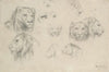 Study Of Lions And Lionesses