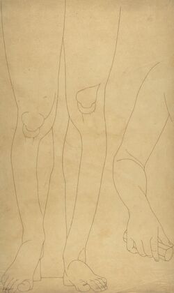 Study of Lower Legs and an Arm