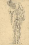 Study of Male Nude