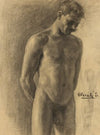 Study of Male Nude