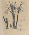 Study of Man between Trees
