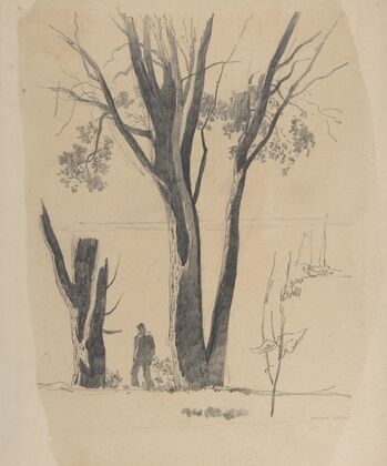 Study of Man between Trees