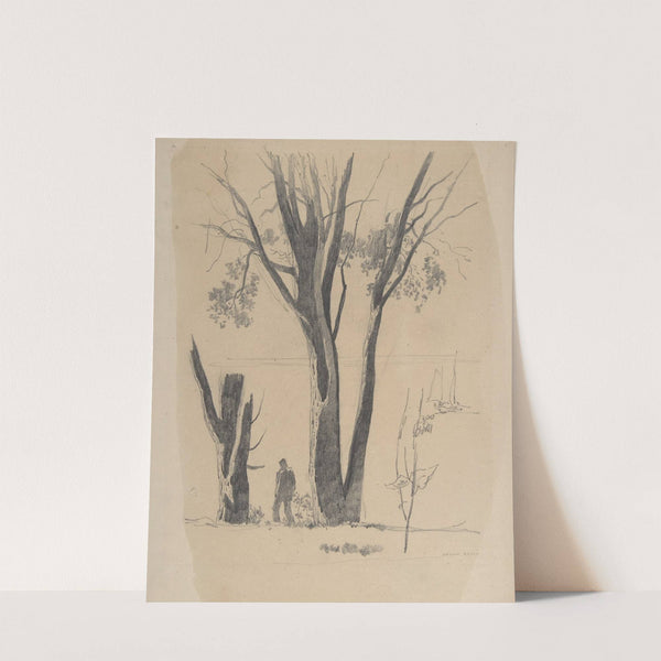 Study of Man between Trees by Odilon Redon