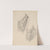Study of Moses&#039; robe to the painting &#039;Immaculate Conception of the Blessed Virgin Mary&#039; by Józef Simmler