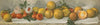 Study of oranges