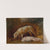 Study of Pigs (1850) by Alexandre-Gabriel Decamps