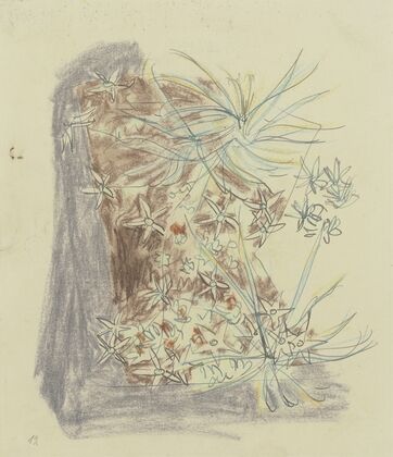 Study of plants 2