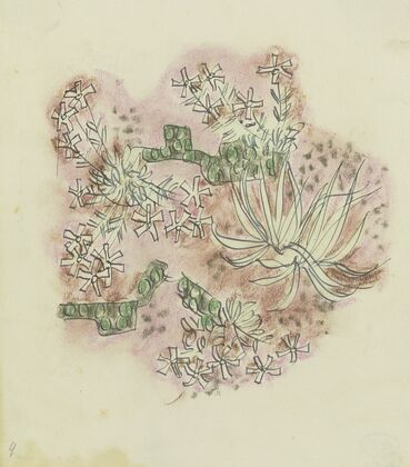 Study of plants 3