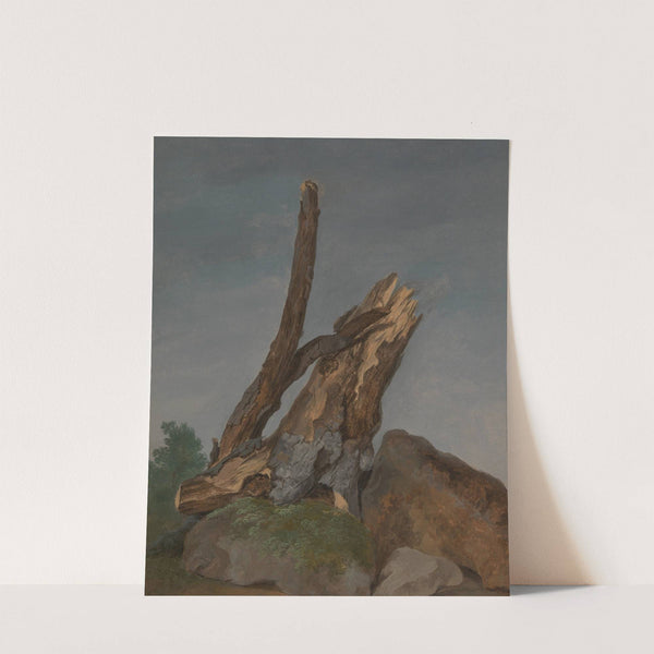 Study of Rocks and Branches by George Augustus Wallis