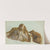 Study of Rocks Covered with Seaweed by Edward Duncan