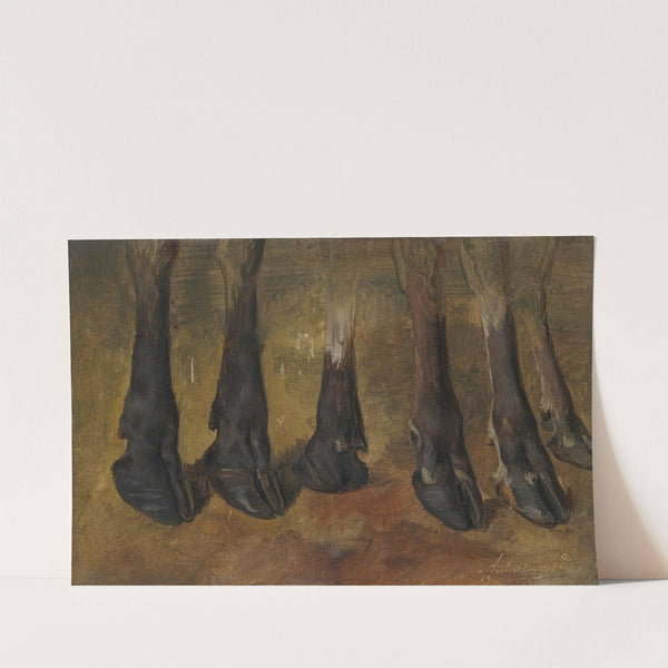 Study of six hooves by Anders Askevold