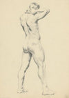 Study of Standing Male Nude