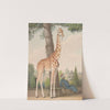 Study of the Giraffe Given to Charles X by the Viceroy of Egypt by Nicolas Huet The Younger