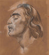 Study of the Head of a Man