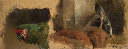 Study of the head of a parrot and the head of a kangaroo (1885)