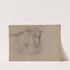 Study of the Head of a Ram by James Ward