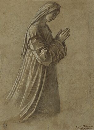 Study of the Virgin