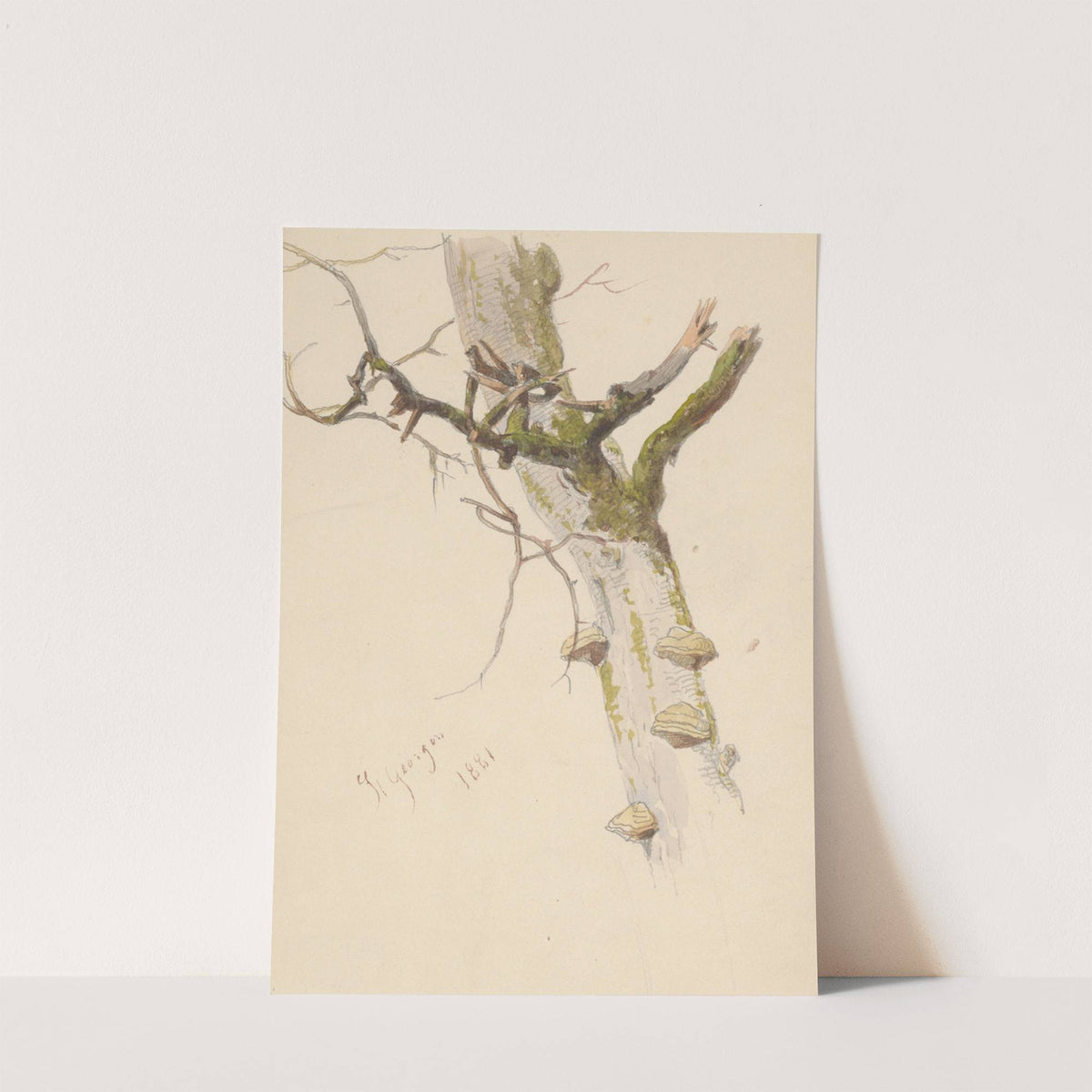 Study of Tree Trunk with Branches and Mushrooms by Friedrich Carl von Scheidlin