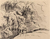 Study of trees
