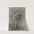 Study of Trees by Jean-Jacques de Boissieu