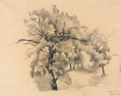 Study of Trees (1922)