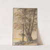 Study of Trees by Lucas van Uden