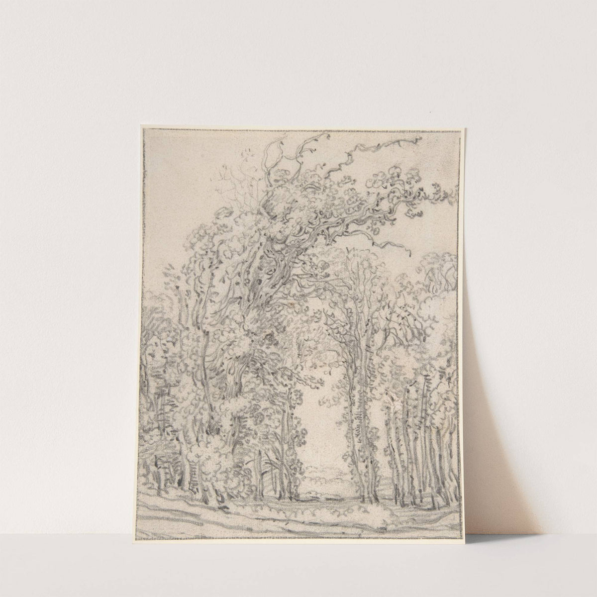 Study of Trees by John Ruskin