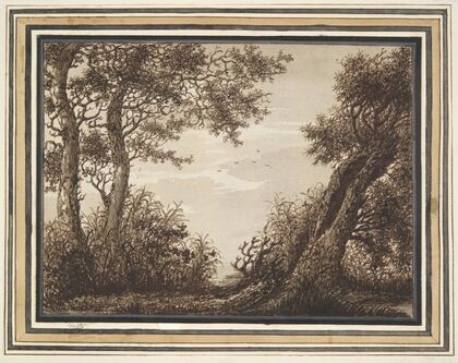 Study of Trees
