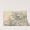 Study of Trees and Shrubs by Thomas Bradshaw