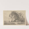 Study of Trees on the Banks of the Yare by Miles Edmund Cotman